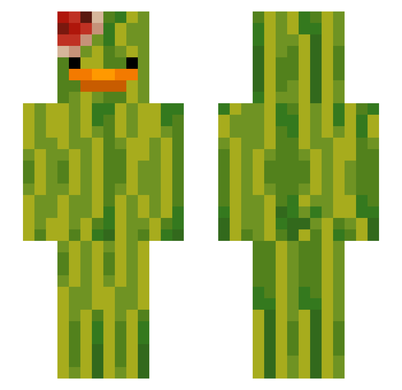 Mexicana30 Minecraft skin, front and back view