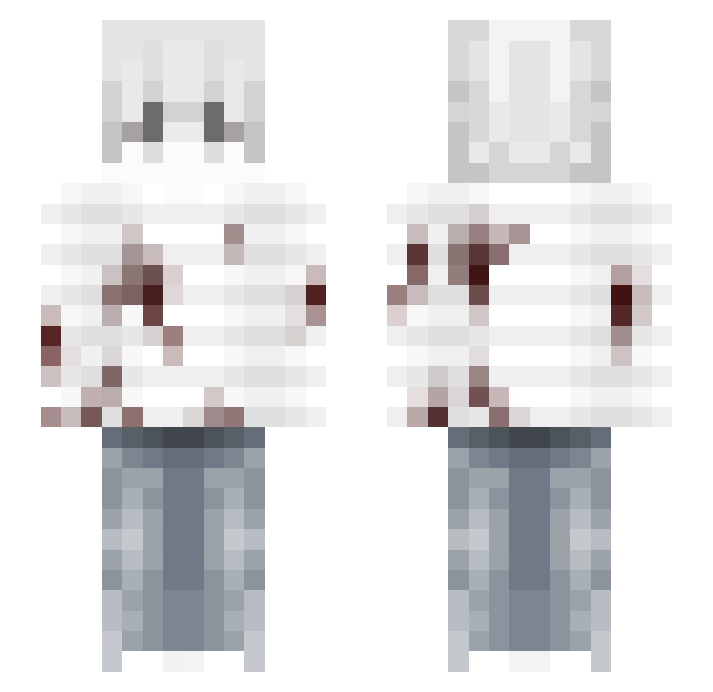 Information_RR Minecraft skin, front and back view