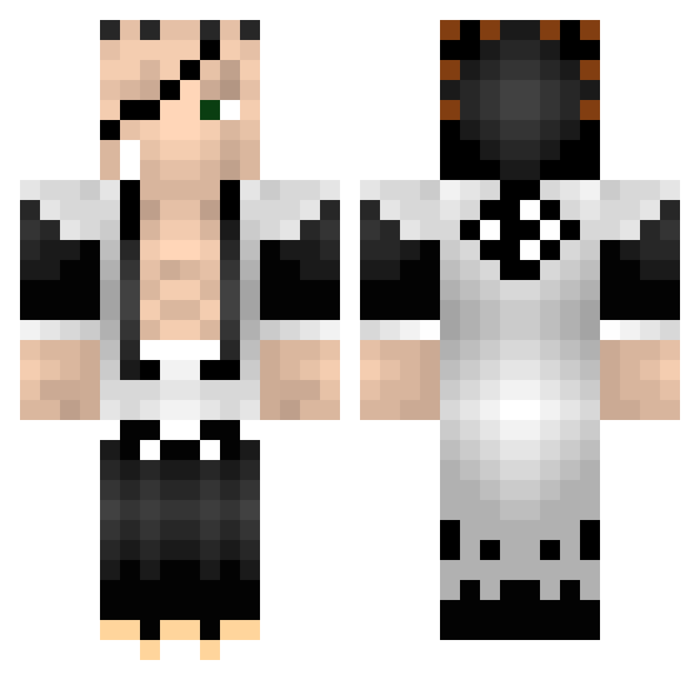 TheDidlerr Minecraft skin, front and back view