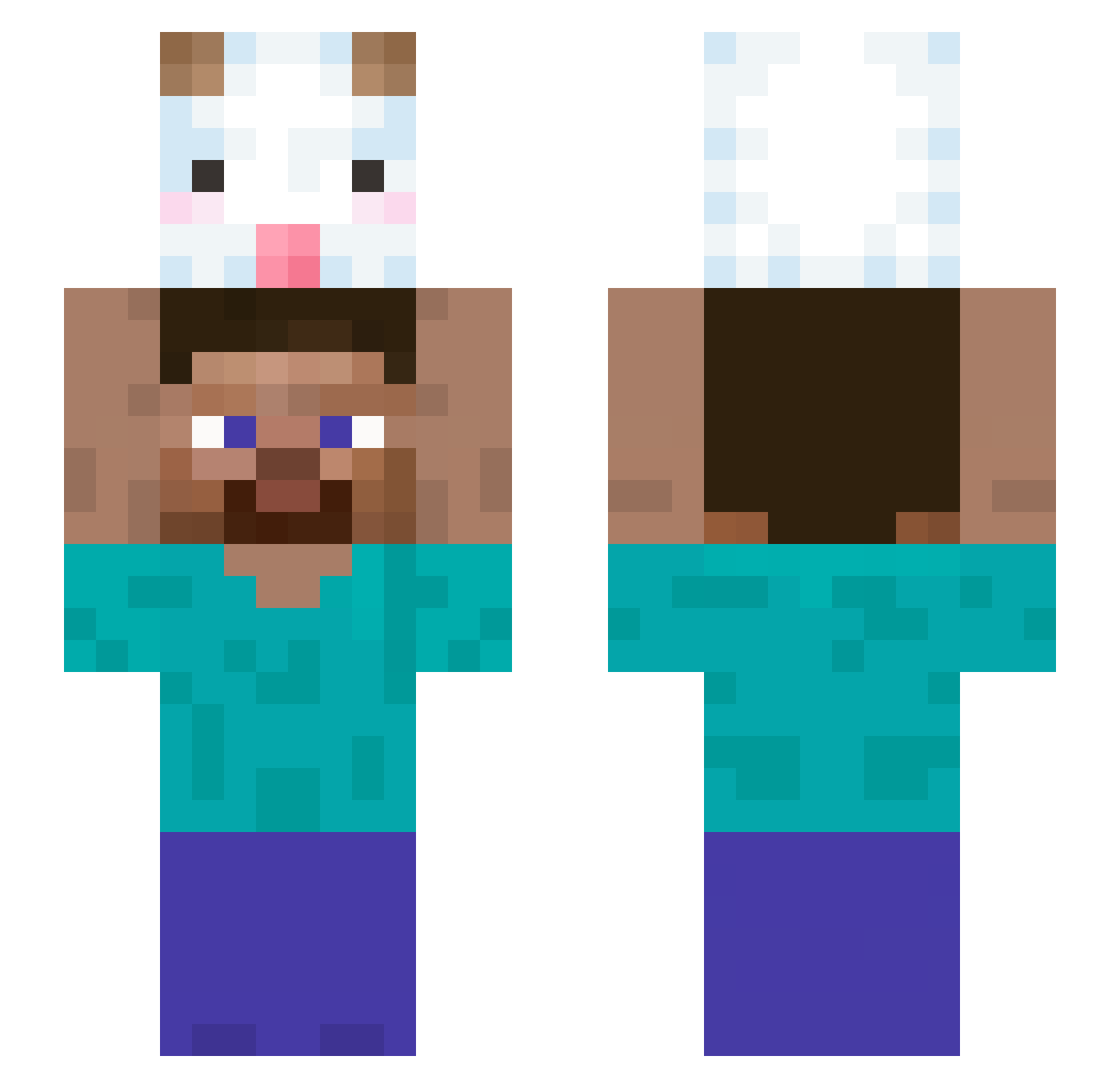 DisgustingPoro Minecraft skin, front and back view