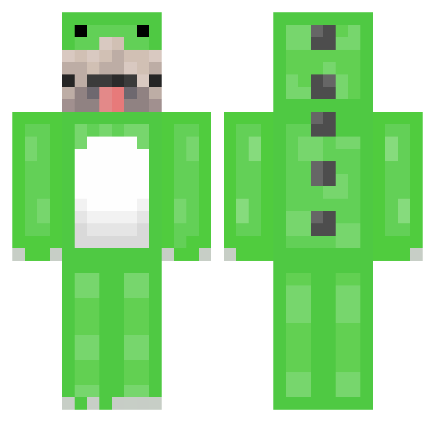 Dinopug1 Minecraft skin, front and back view