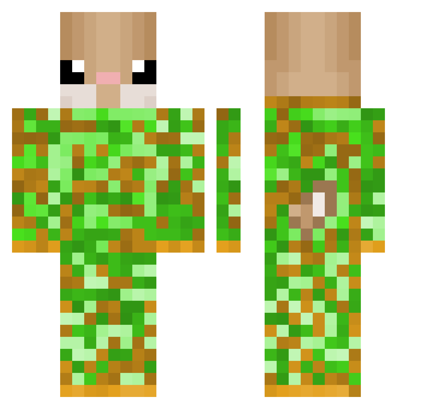 Hampampster Minecraft skin, front and back view