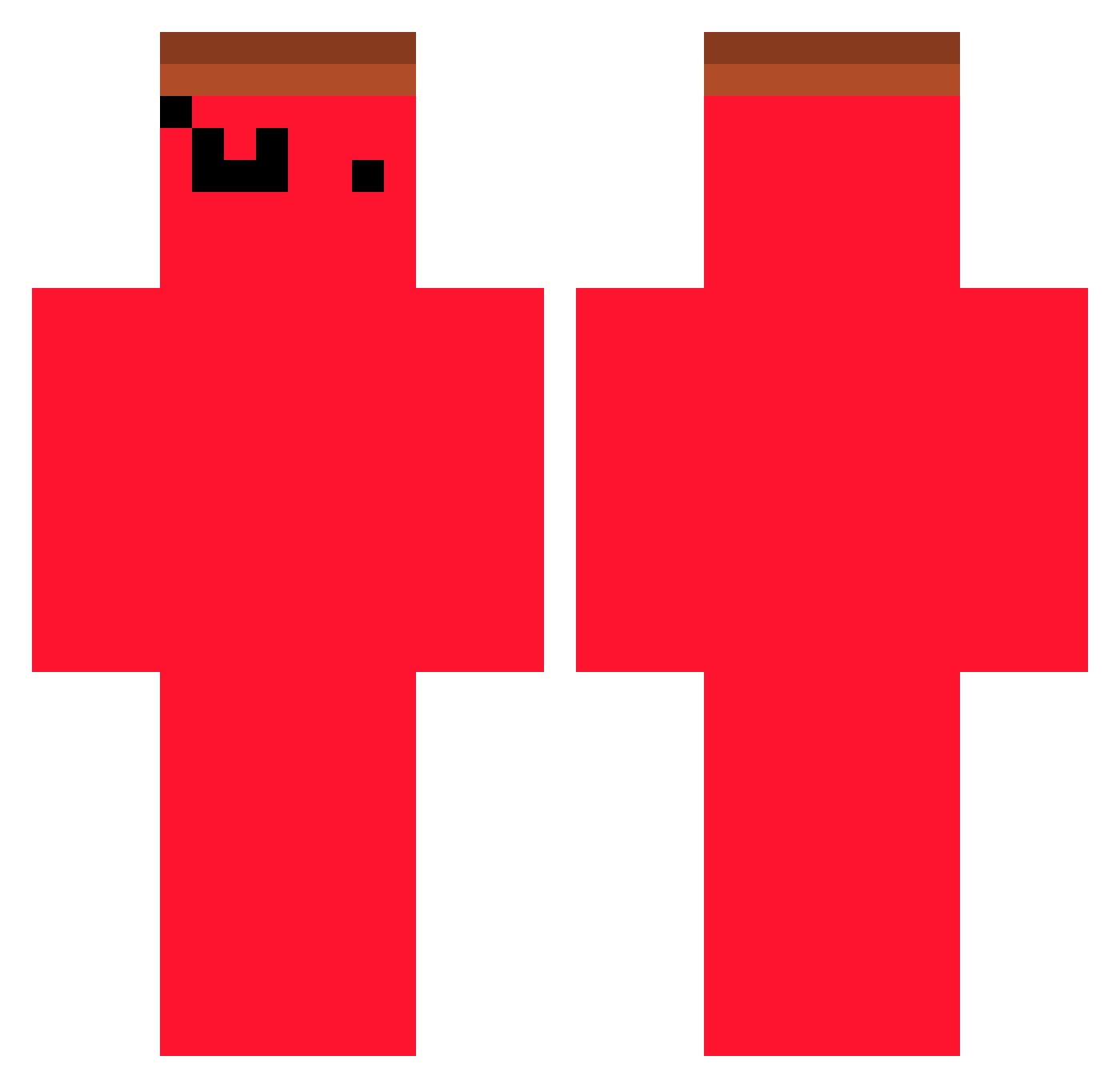 rmsdbr Minecraft skin, front and back view
