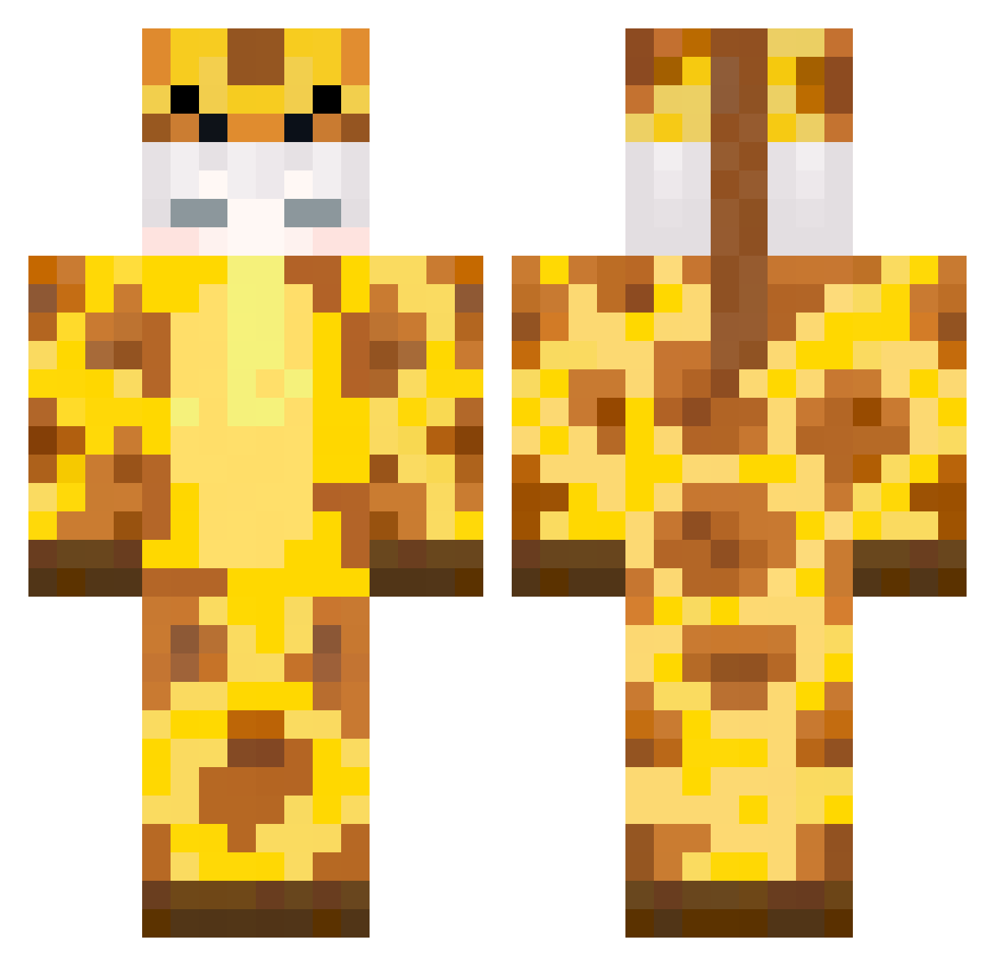grr1478 Minecraft skin, front and back view