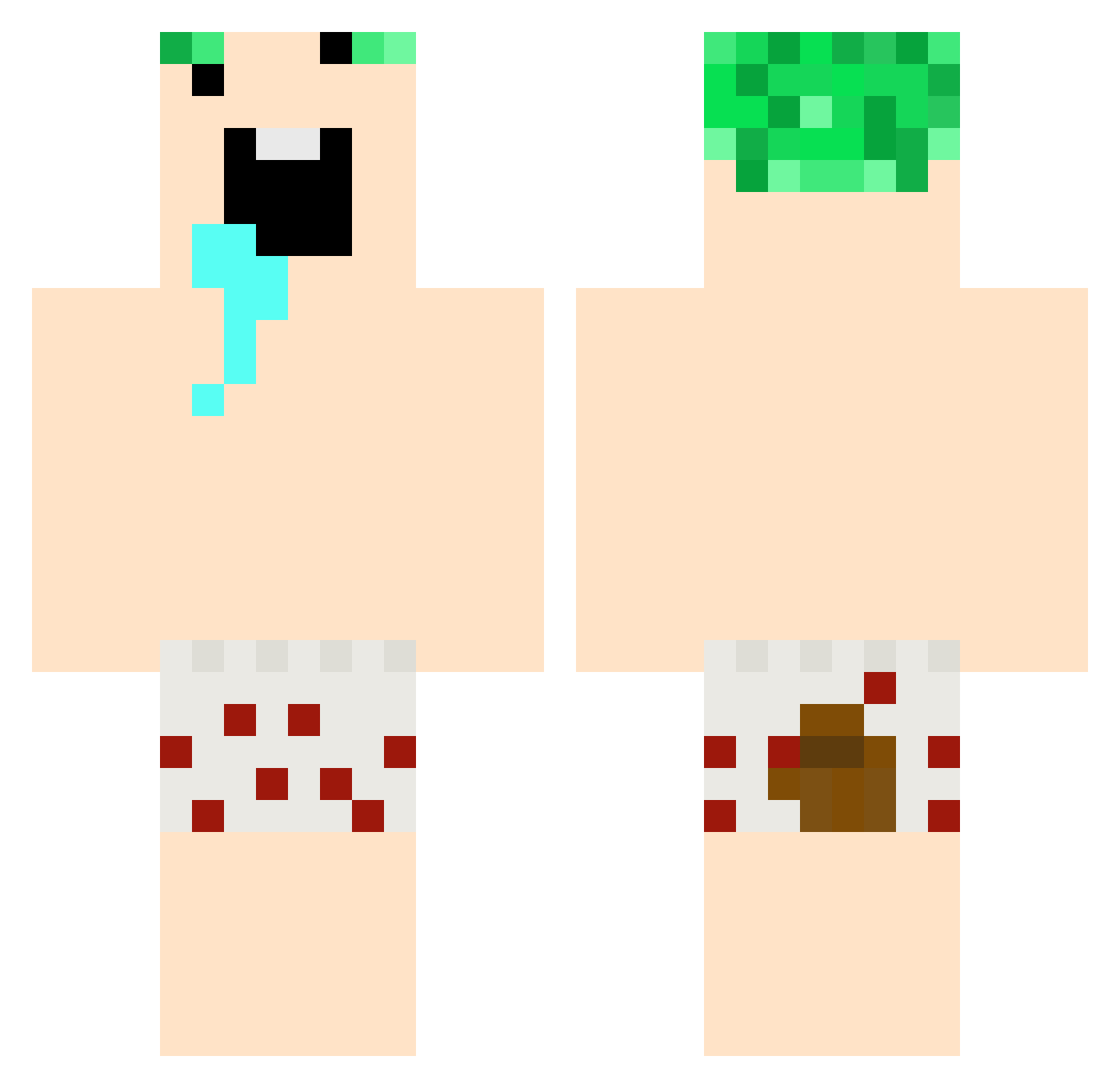 Crepidaran Minecraft skin, front and back view