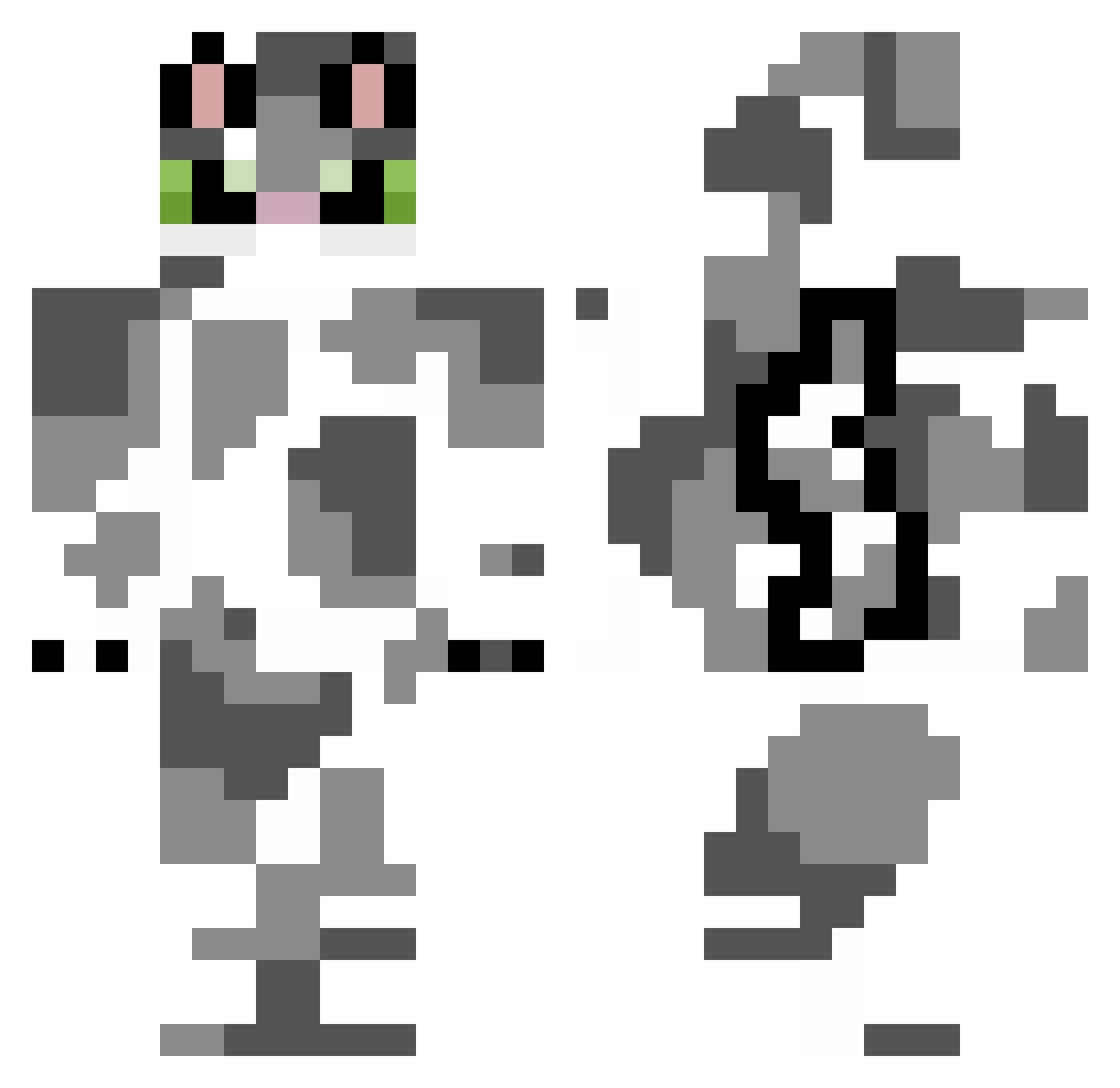 IISCATT Minecraft skin, front and back view