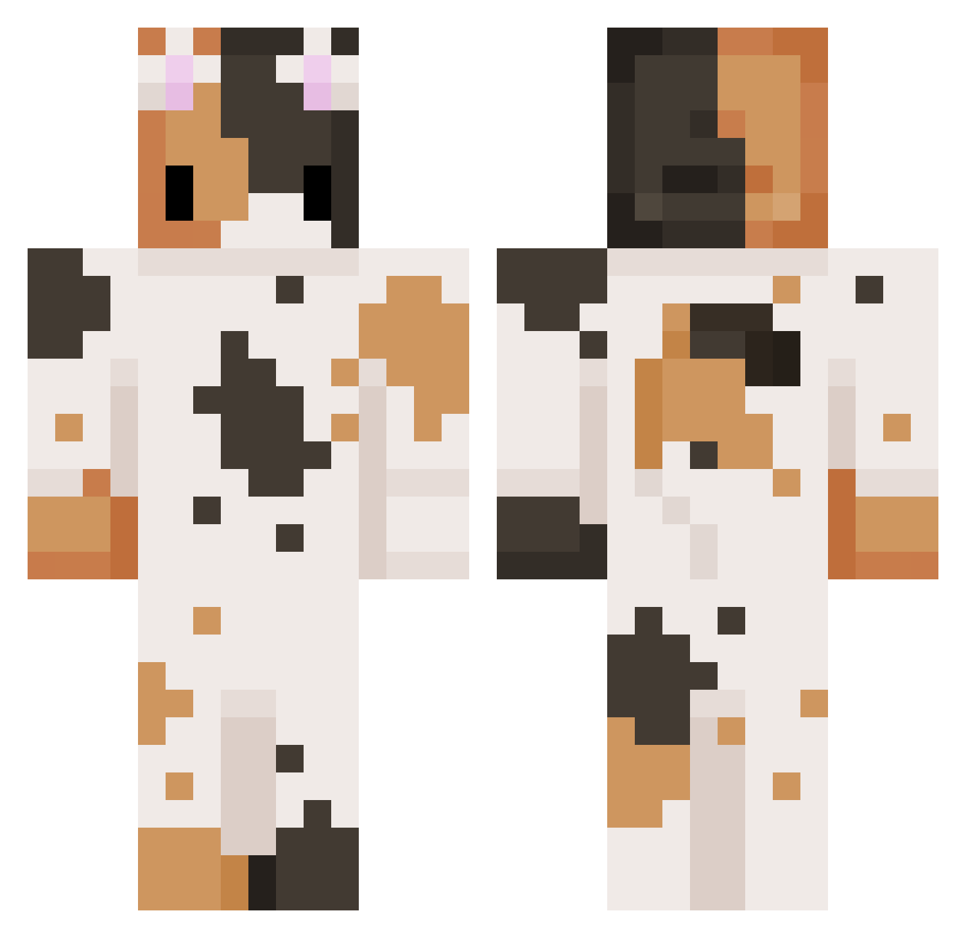 tuna3109 Minecraft skin, front and back view