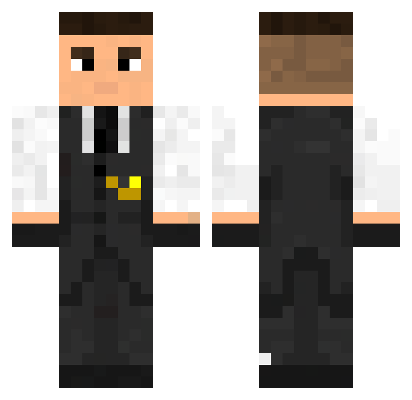 SaniFair Minecraft skin, front and back view