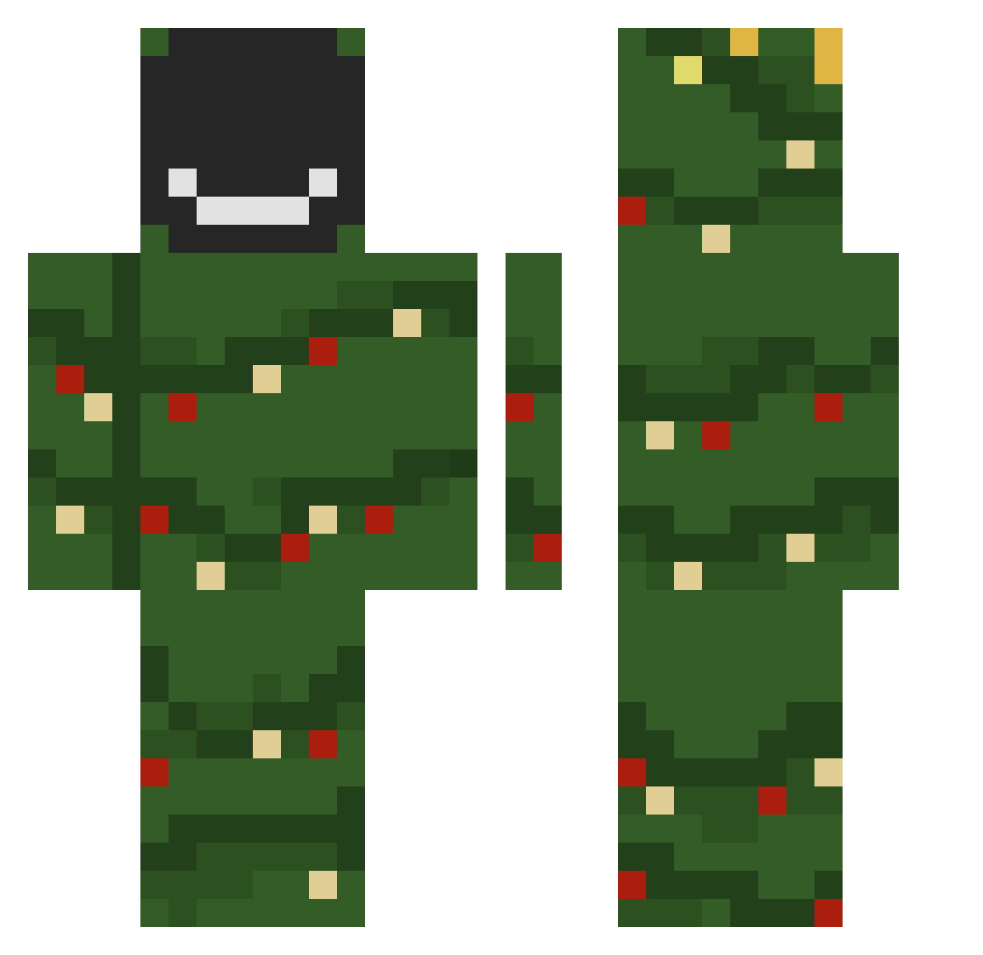 koala_71 Minecraft skin, front and back view