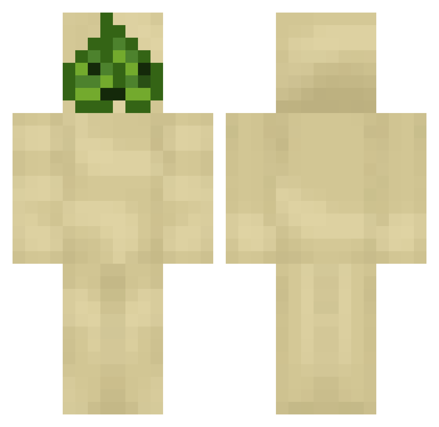 Boolies Minecraft skin, front and back view