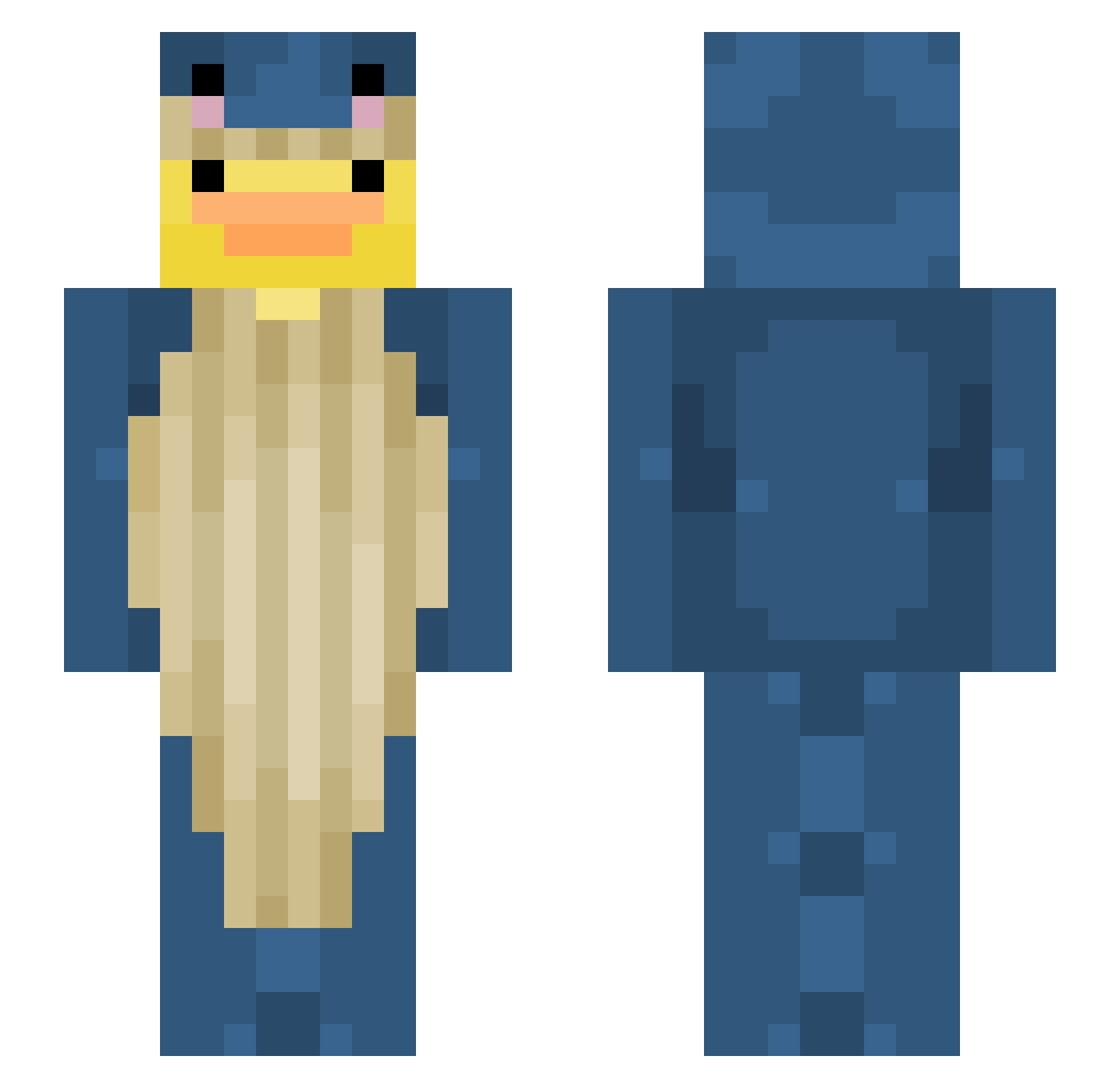 SushiPvPs Minecraft skin, front and back view
