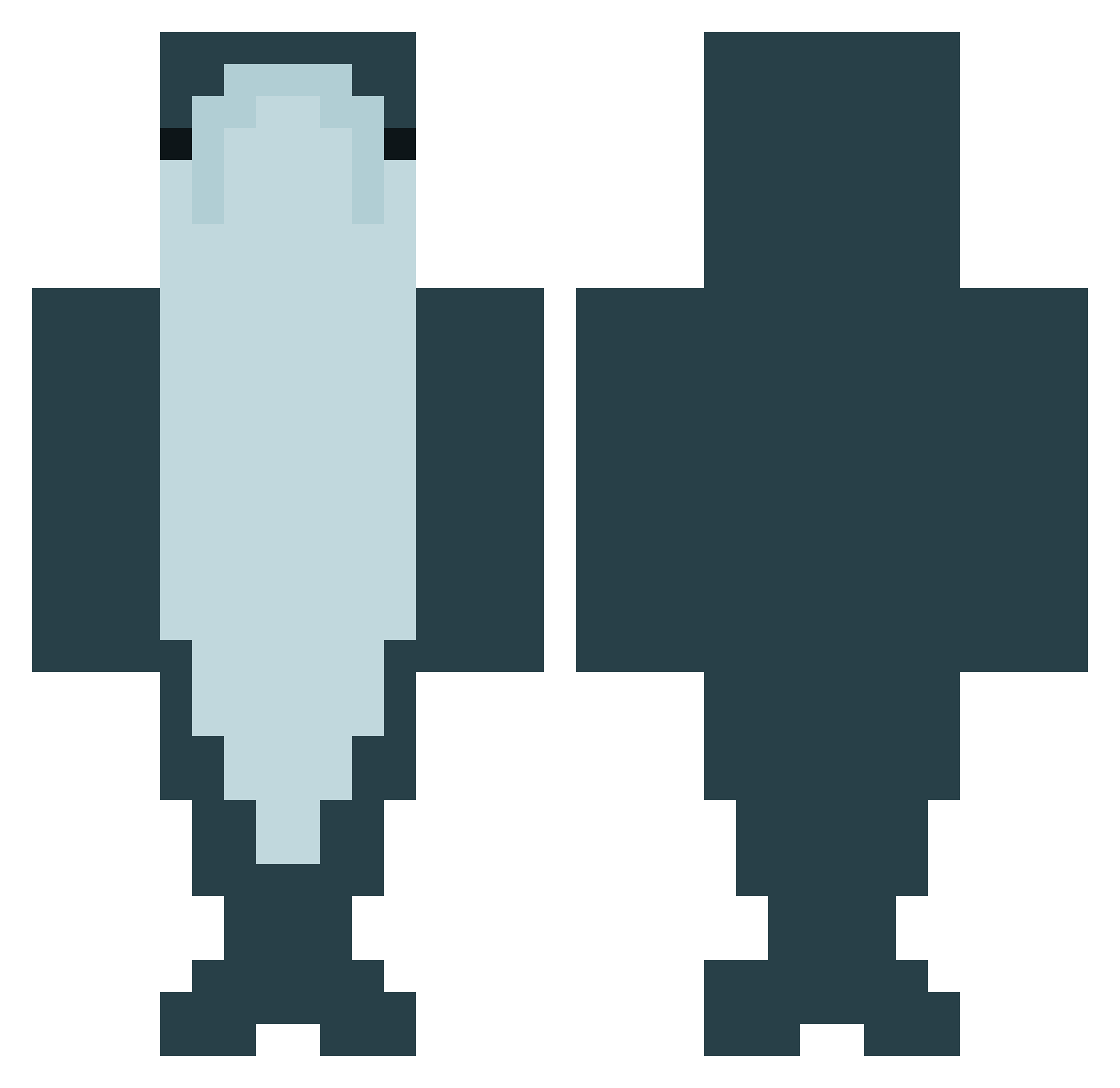DriedRumex Minecraft skin, front and back view