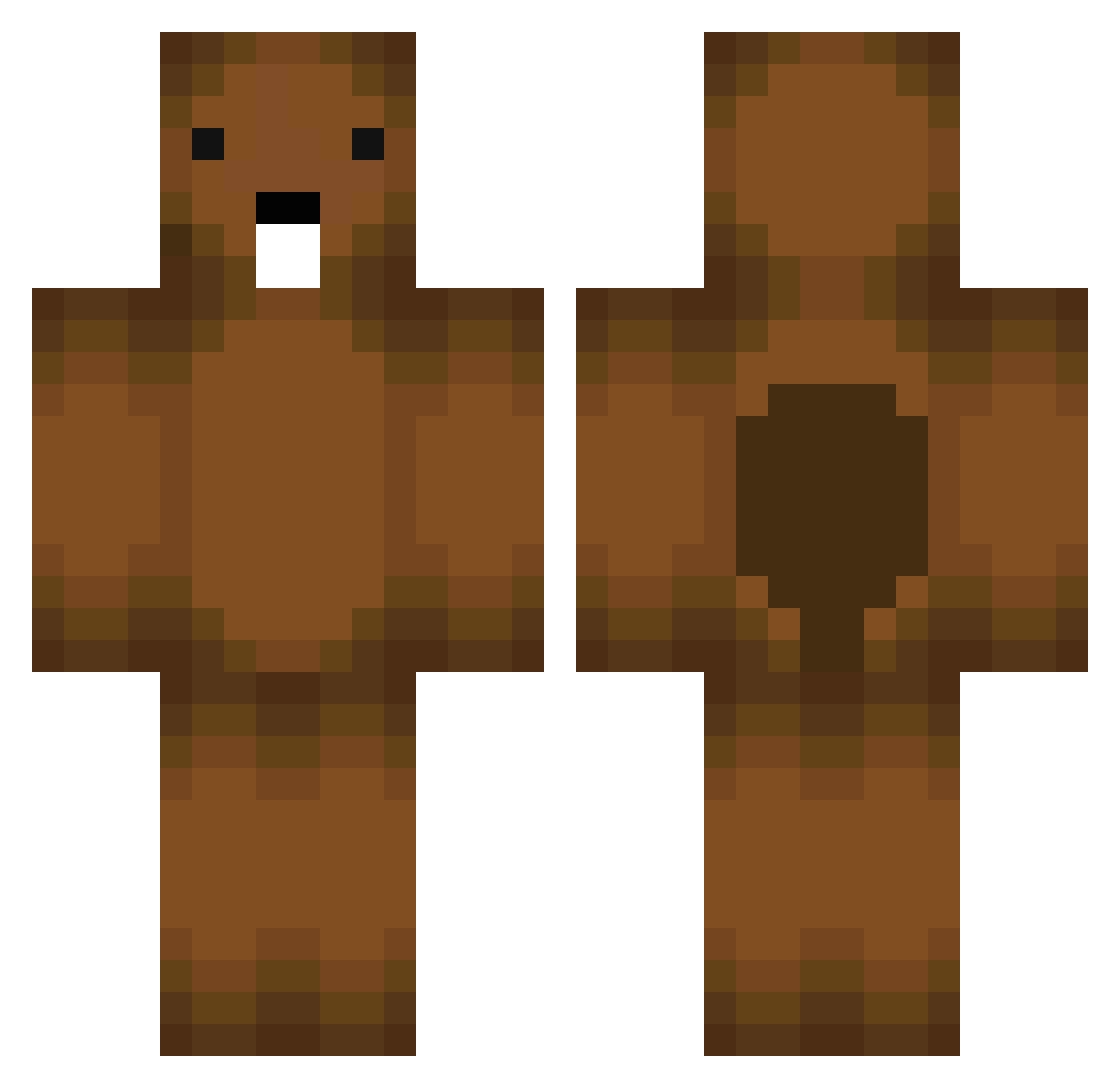 WoIN Minecraft skin, front and back view