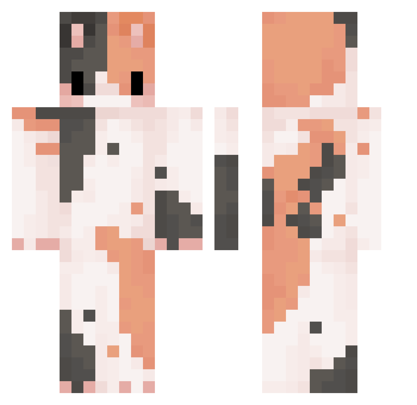 ryan_213 Minecraft skin, front and back view