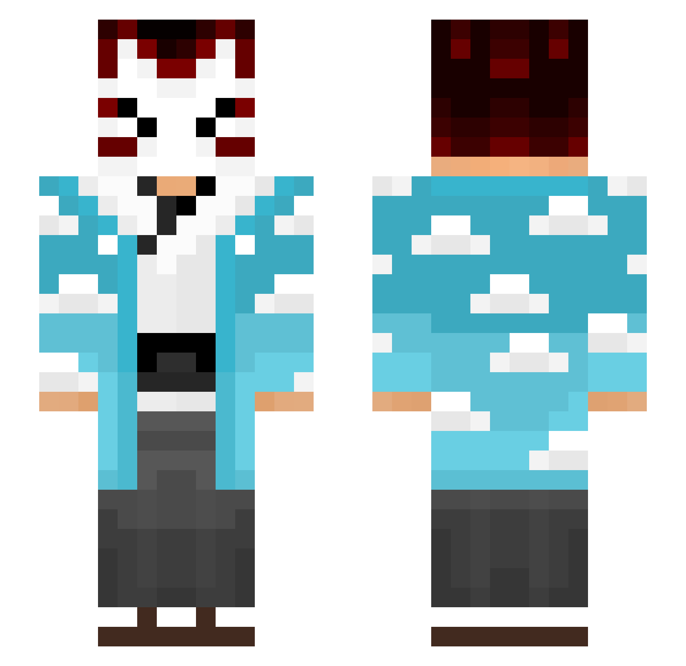 Acajou Minecraft skin, front and back view
