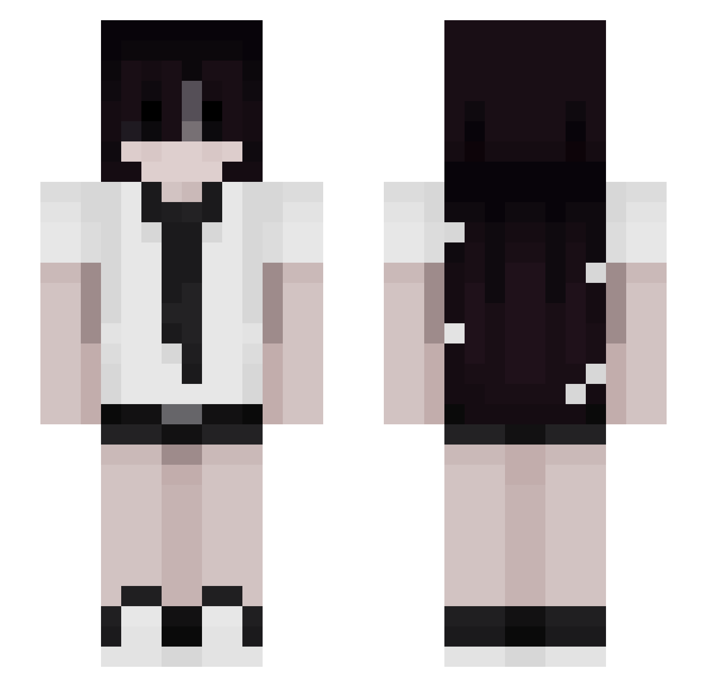 surveyi Minecraft skin, front and back view