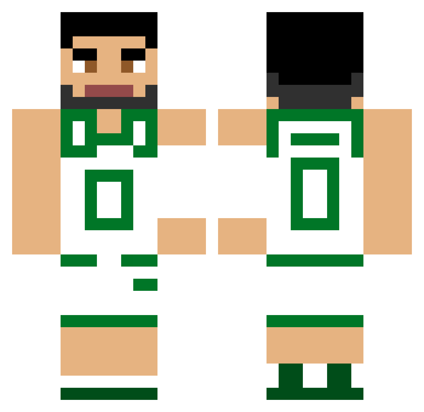 ryn8 Minecraft skin, front and back view