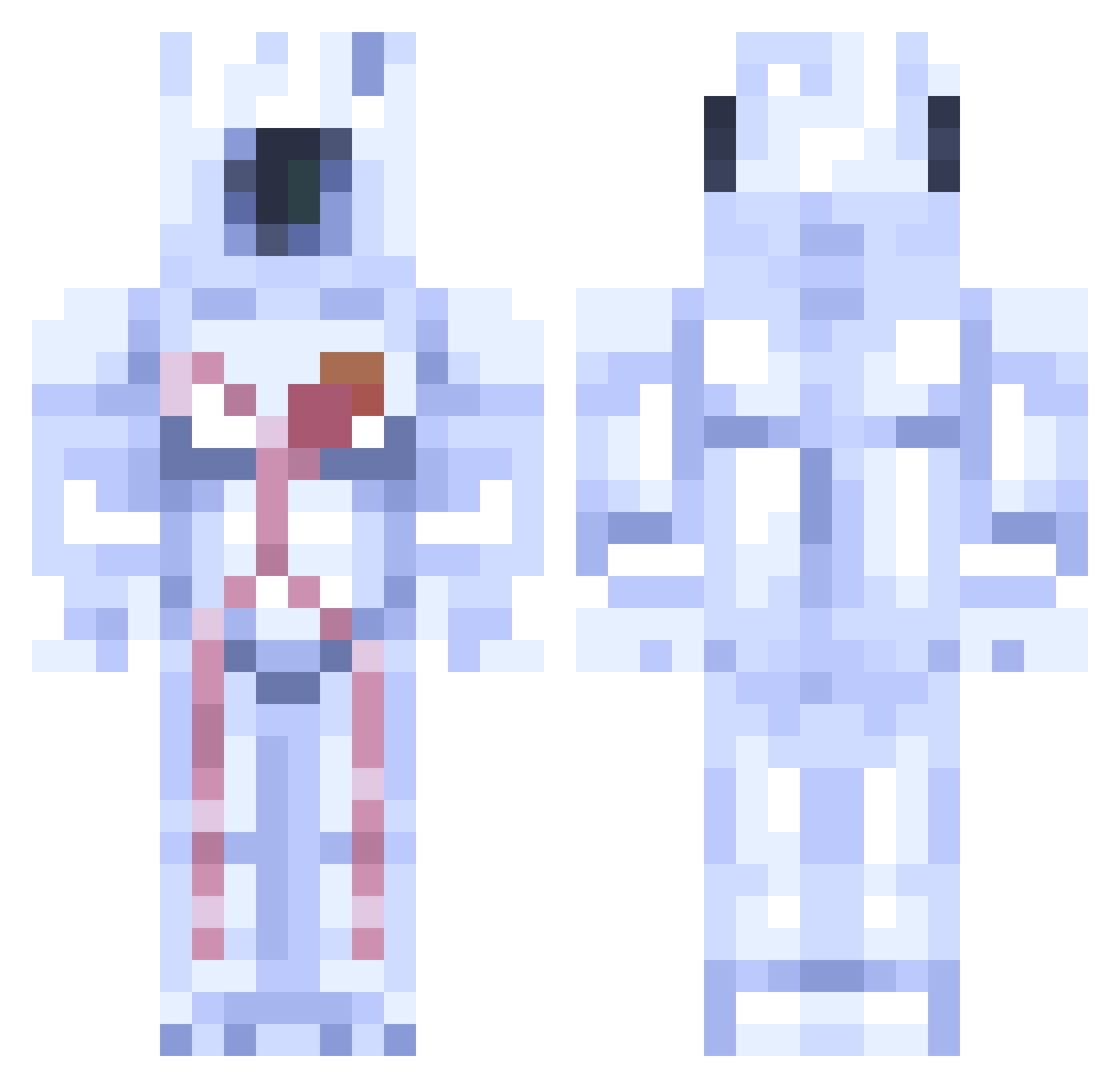 BOI35435 Minecraft skin, front and back view
