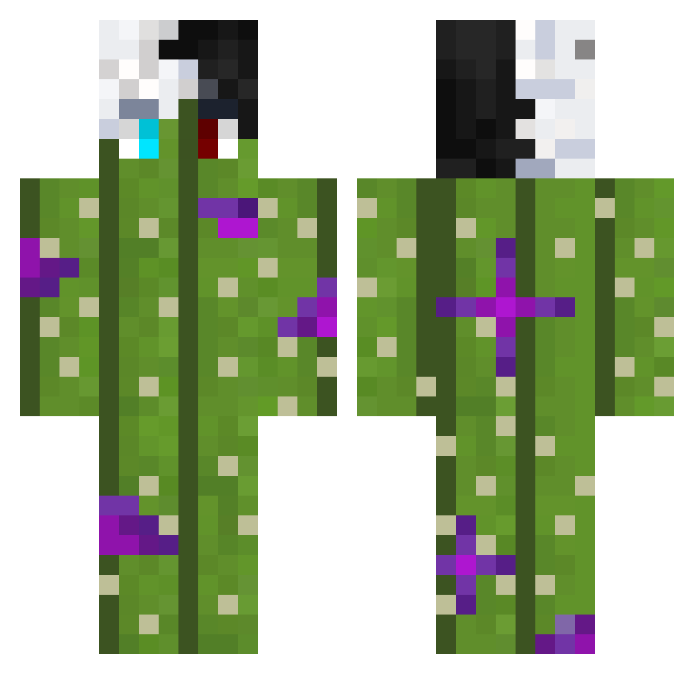 Sk_Ludo Minecraft skin, front and back view
