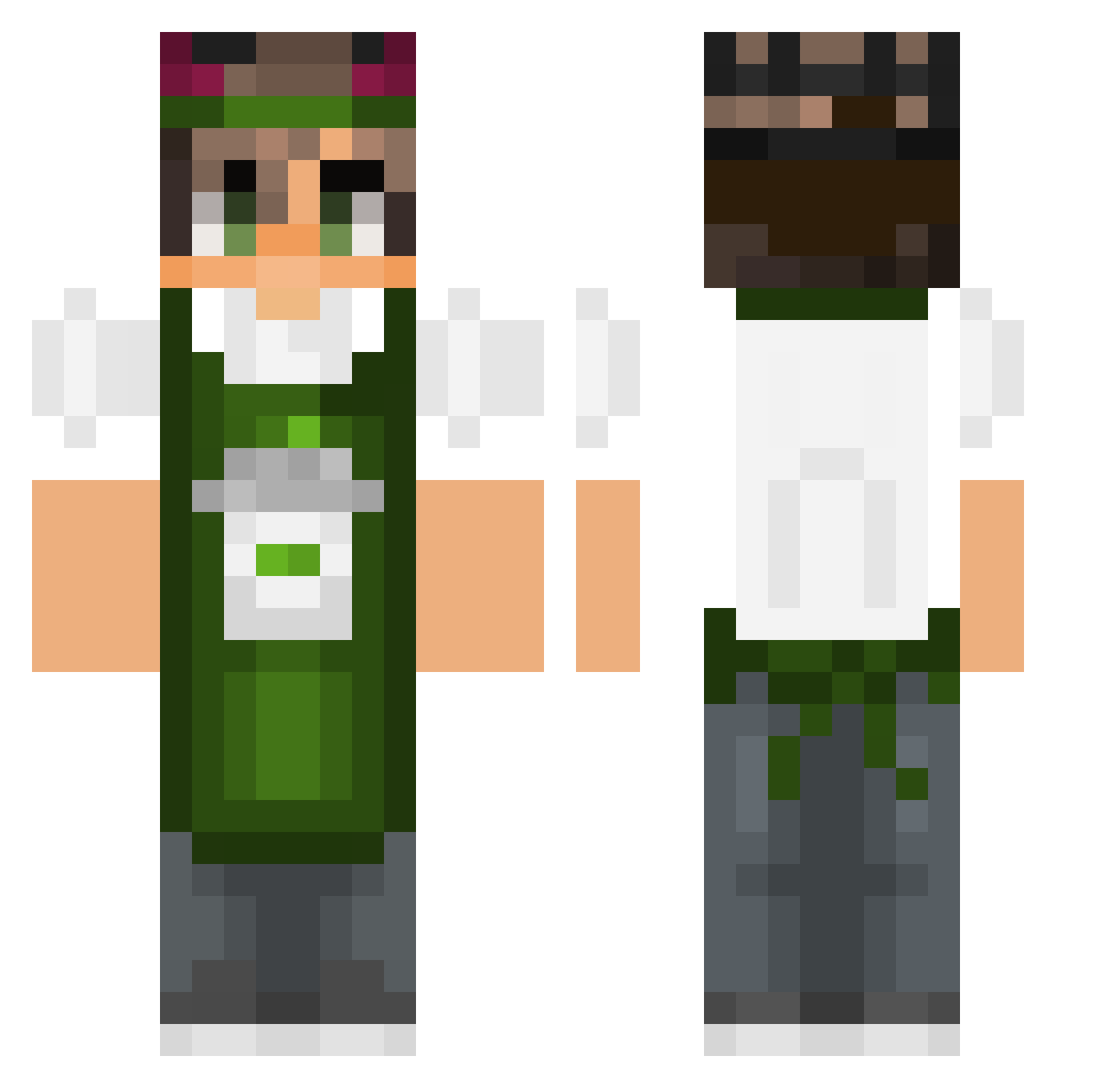 HP_cat Minecraft skin, front and back view