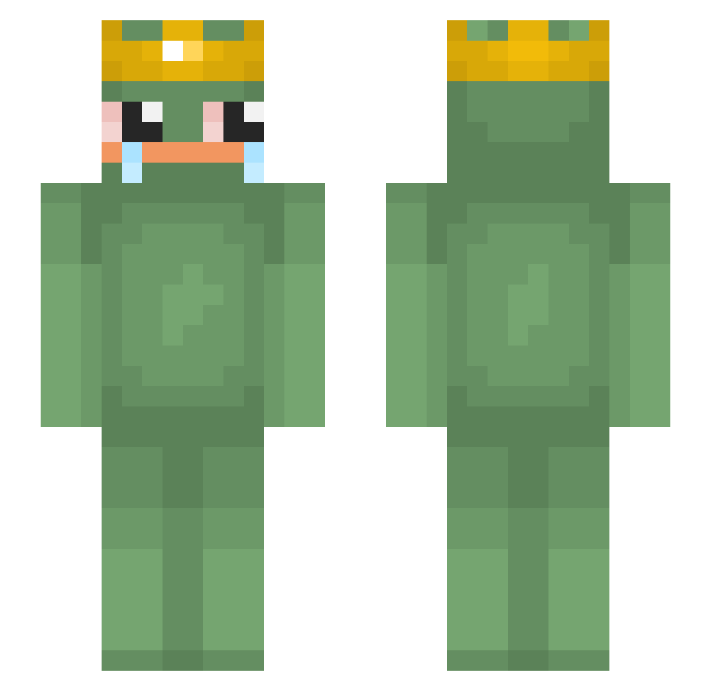 surveyed Minecraft skin, front and back view