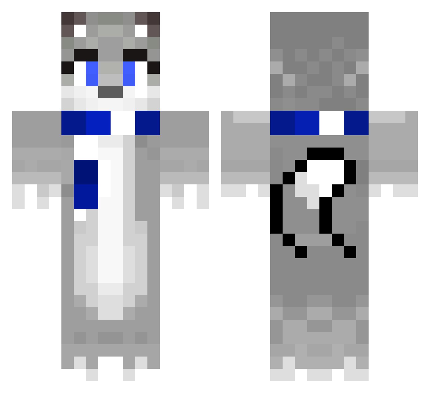 Congressional Minecraft skin, front and back view