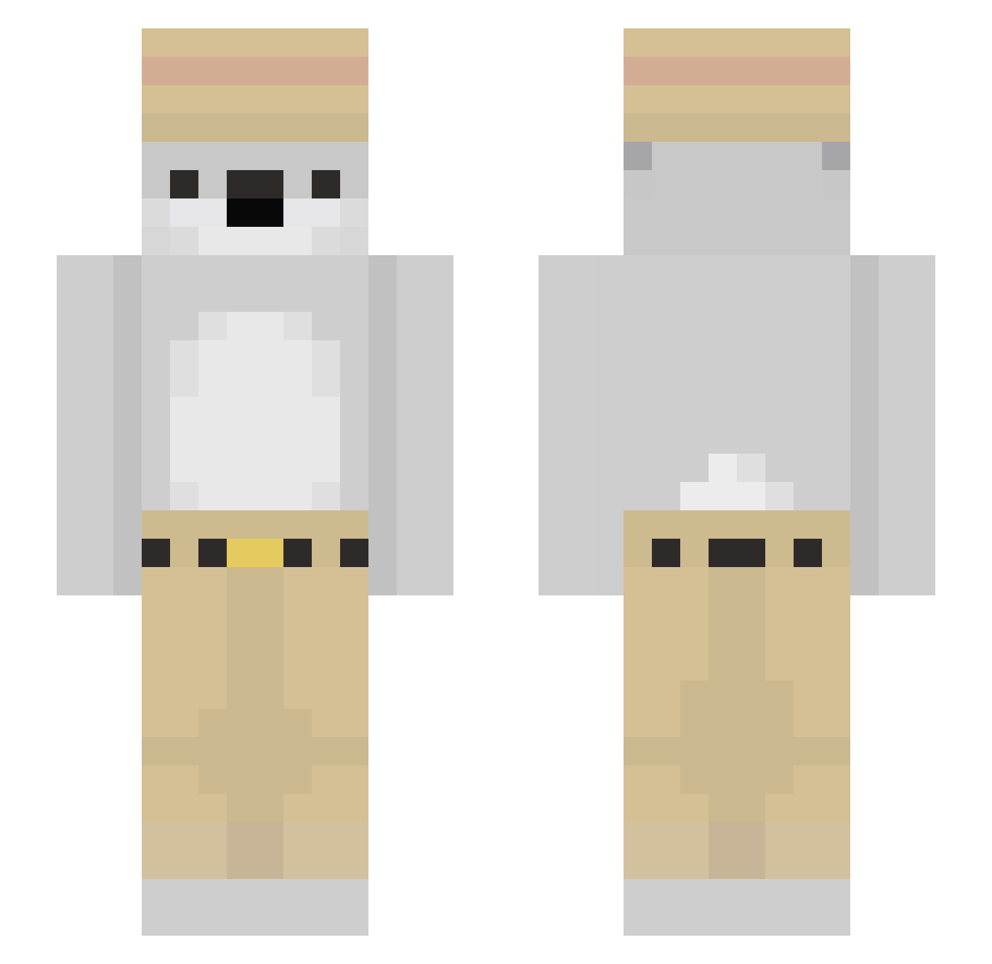gordoteton Minecraft skin, front and back view