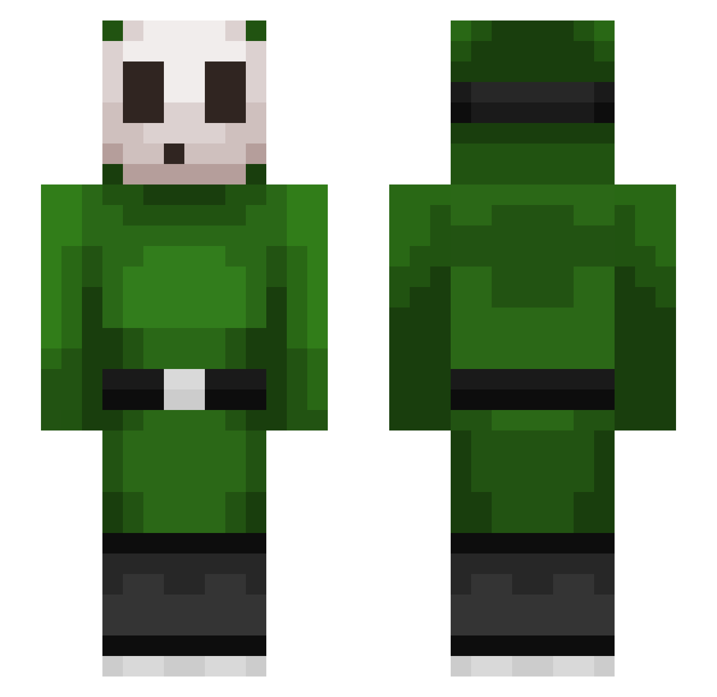 checkthefacts Minecraft skin, front and back view