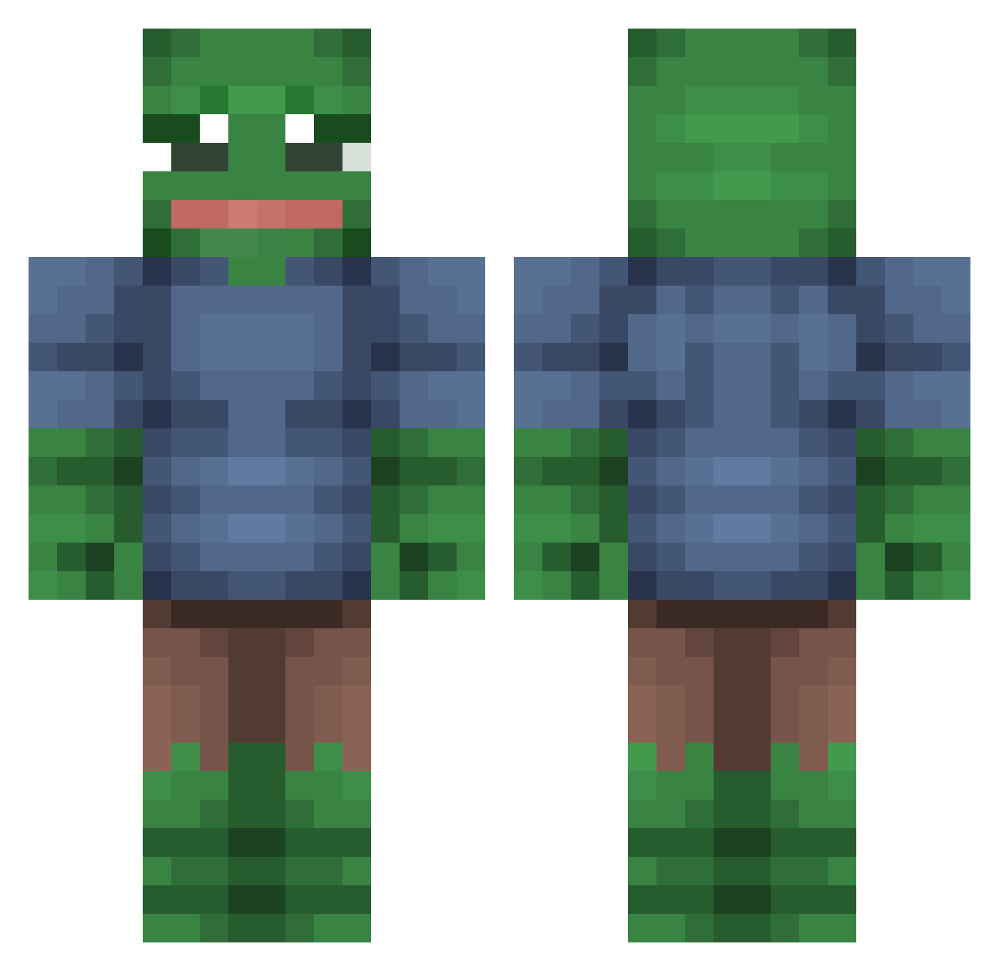 rakonnn Minecraft skin, front and back view