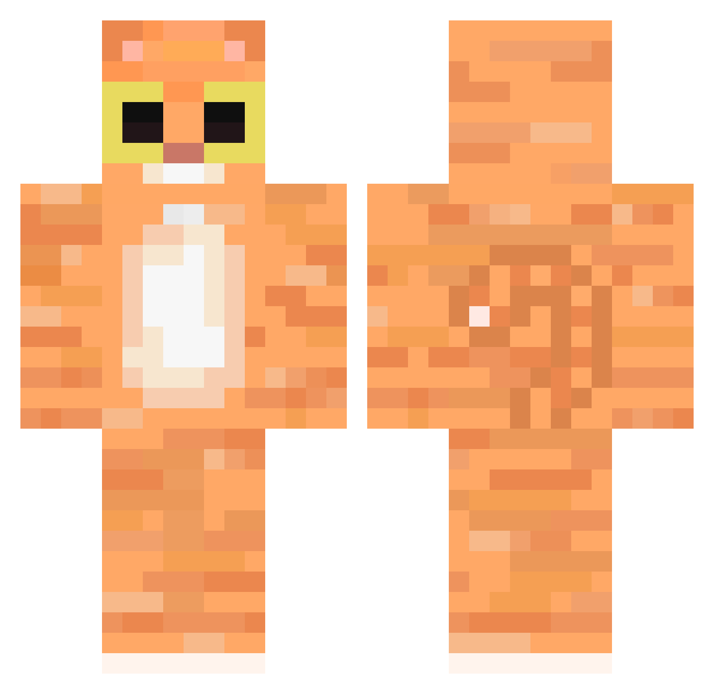 DirectorMushroom Minecraft skin, front and back view