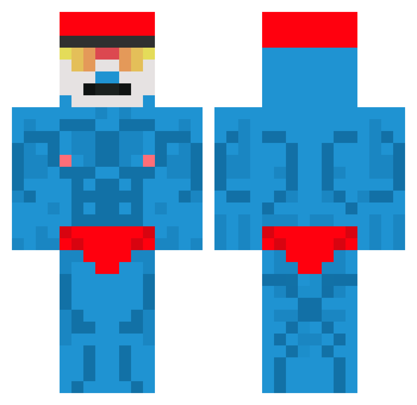 Reig5051 Minecraft skin, front and back view