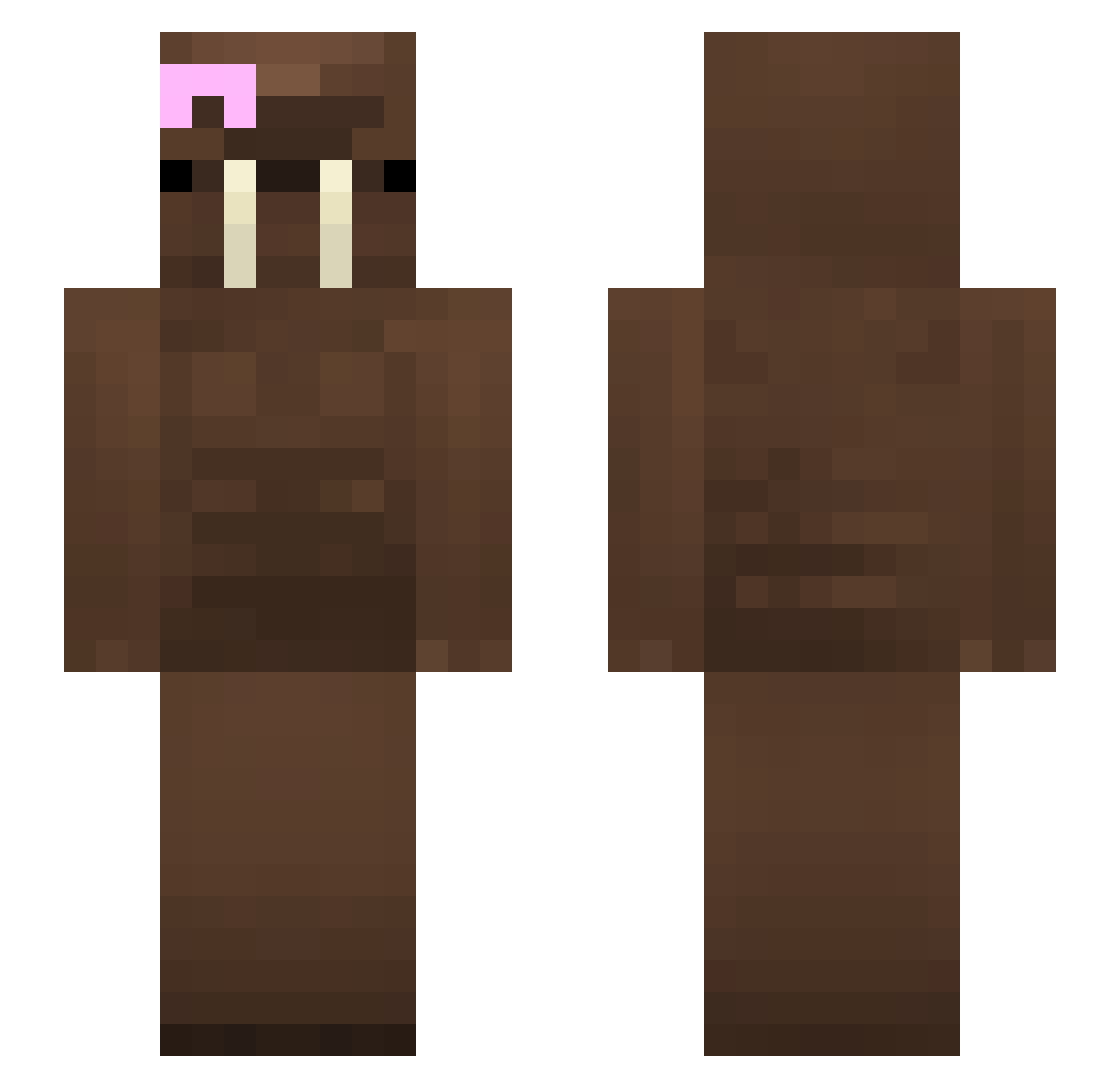 Gynxedd Minecraft skin, front and back view