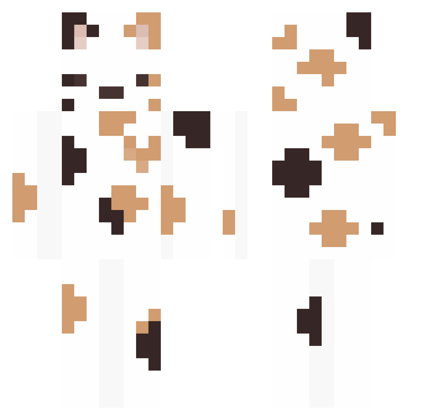 grandepiede Minecraft skin, front and back view