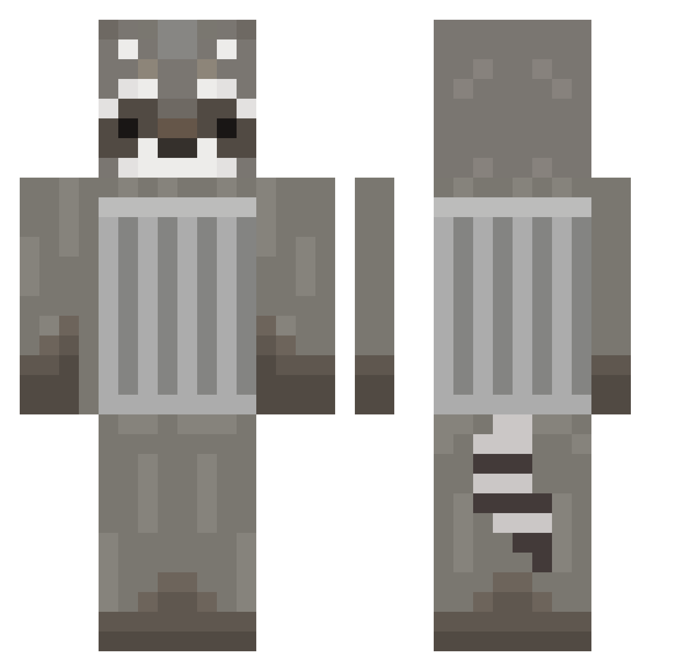 WildTrashcan Minecraft skin, front and back view