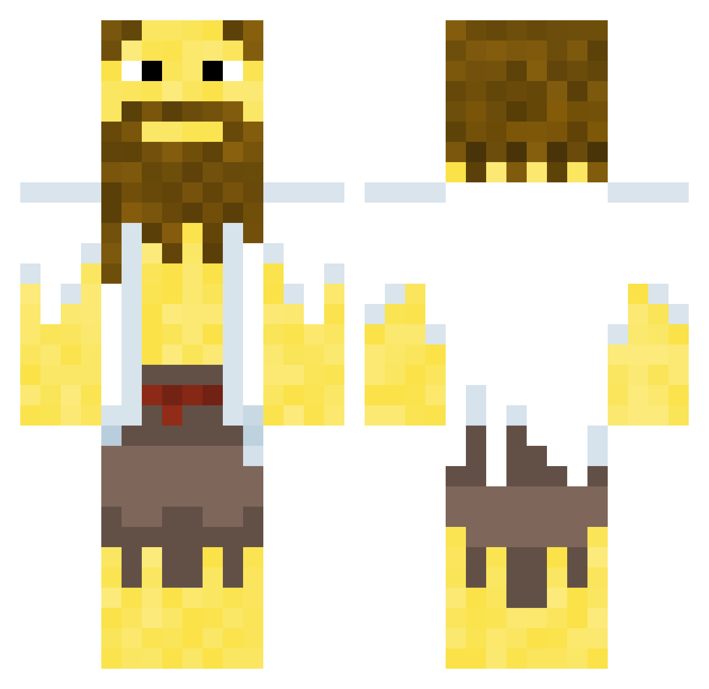 Chexse_ Minecraft skin, front and back view