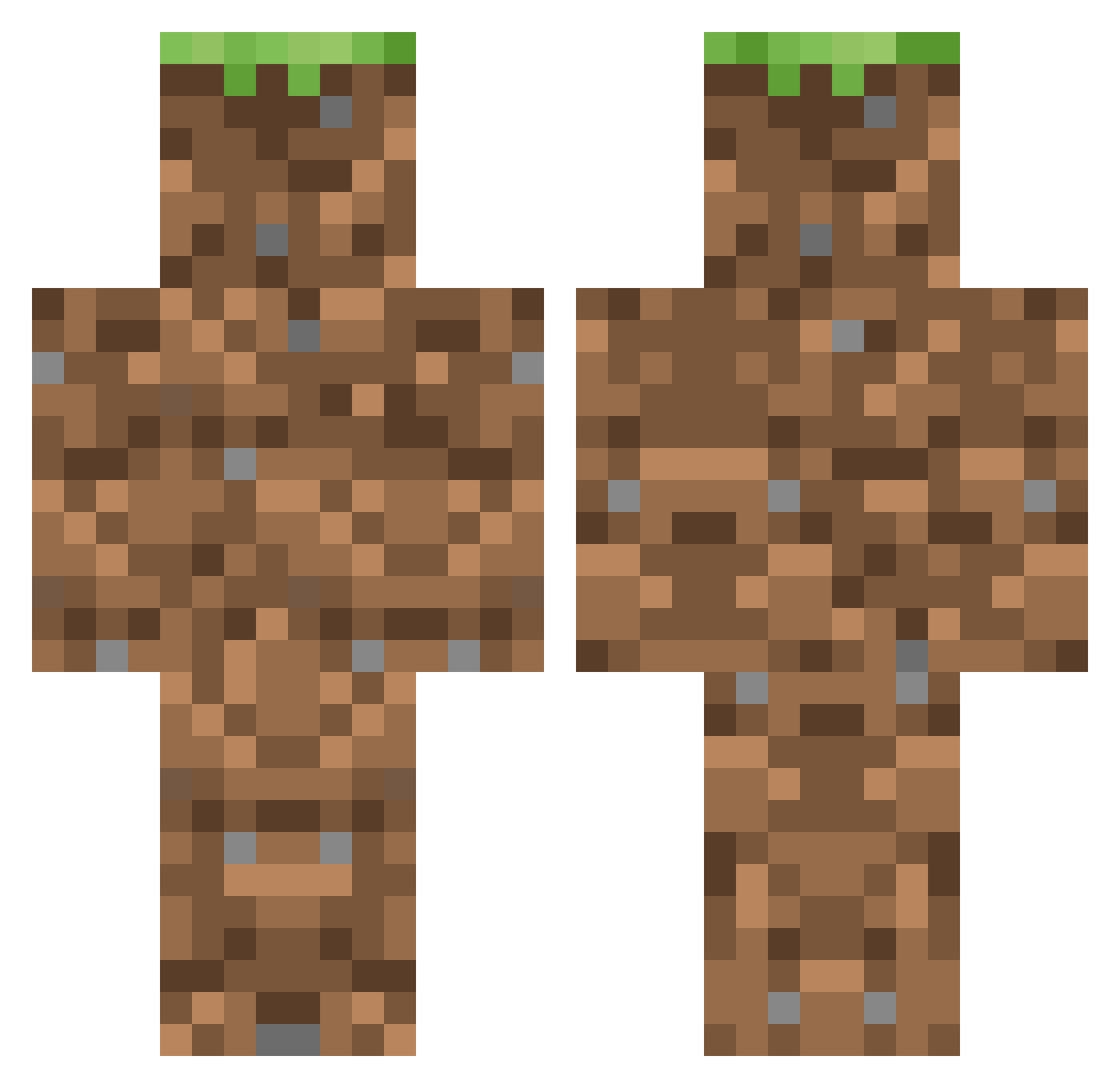 Disgracing Minecraft skin, front and back view