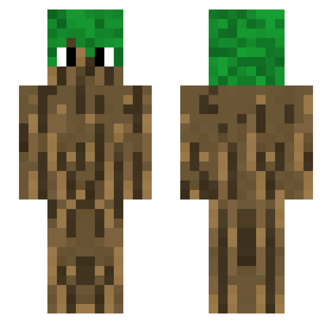 HardRic501 Minecraft skin, front and back view