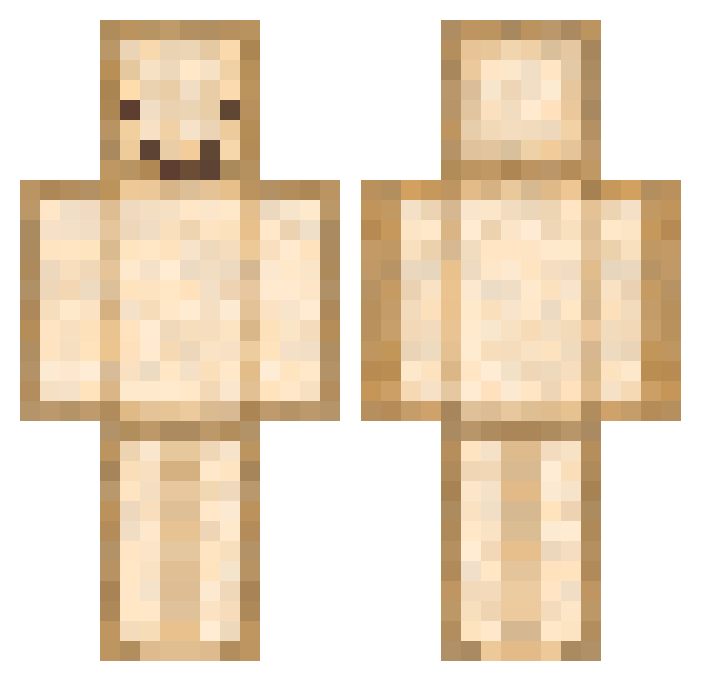 meeowll Minecraft skin, front and back view