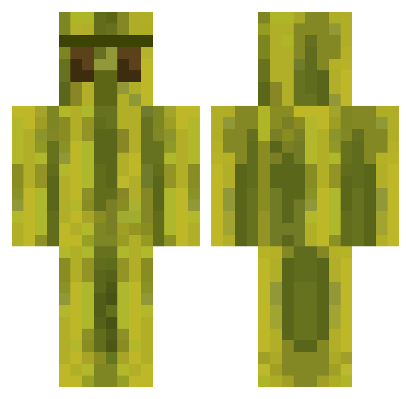 _dashley Minecraft skin, front and back view