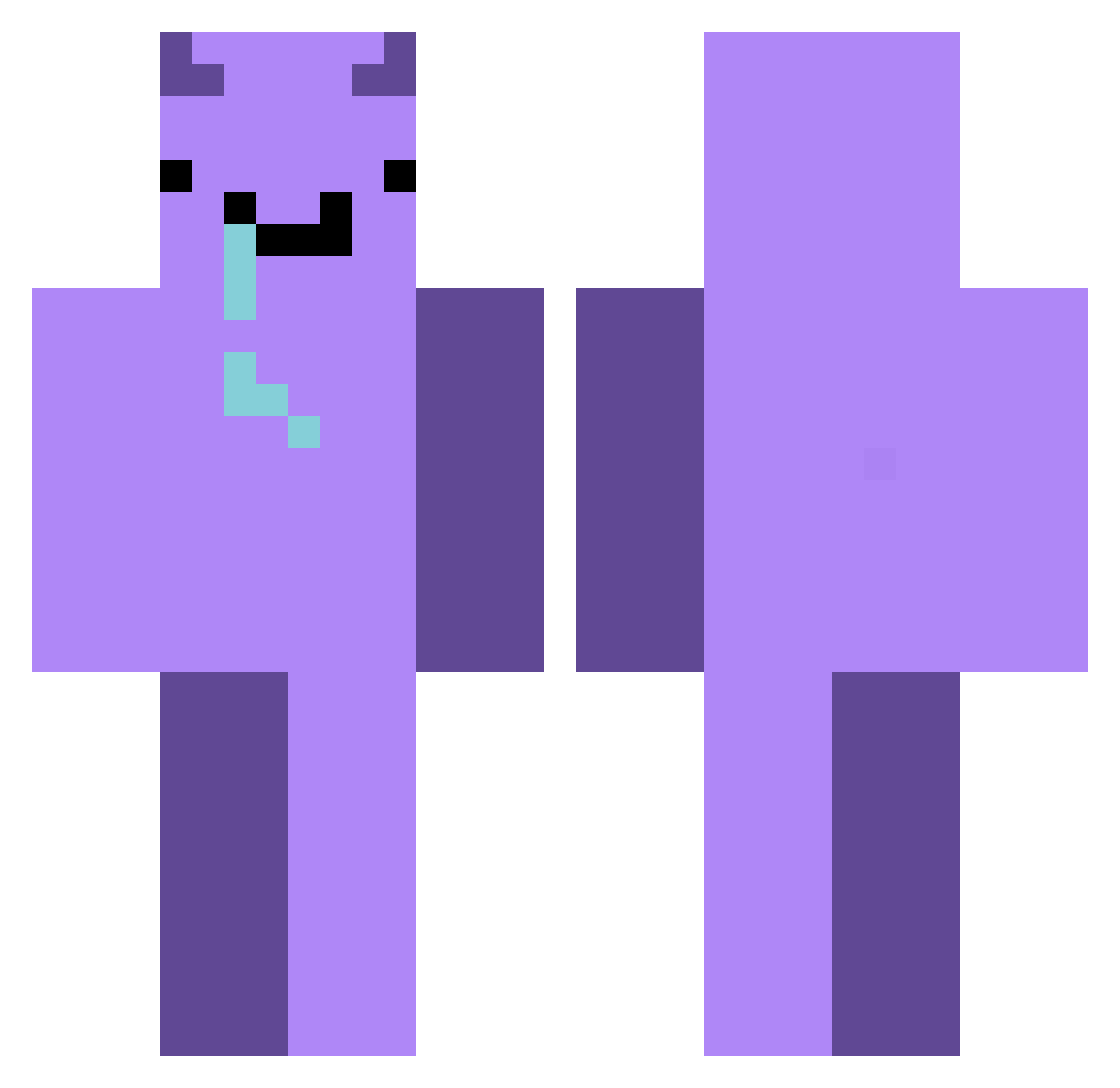 nishpasture Minecraft skin, front and back view