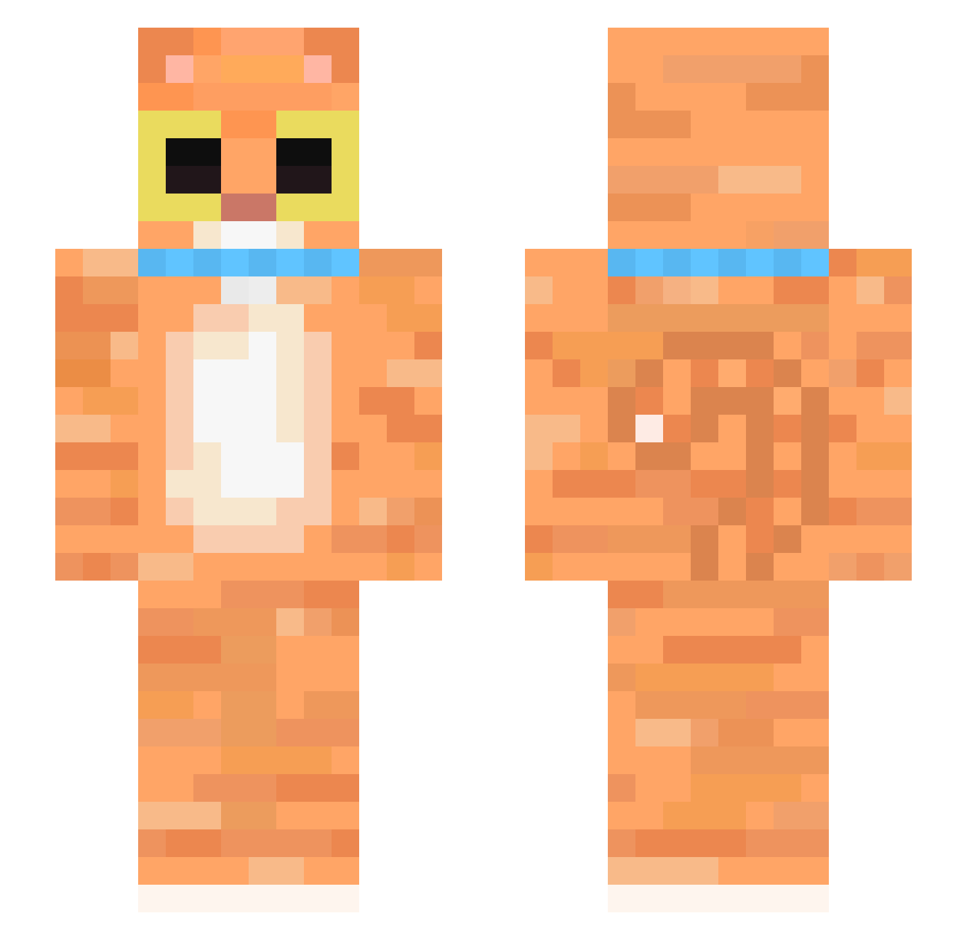 potatolasagna Minecraft skin, front and back view