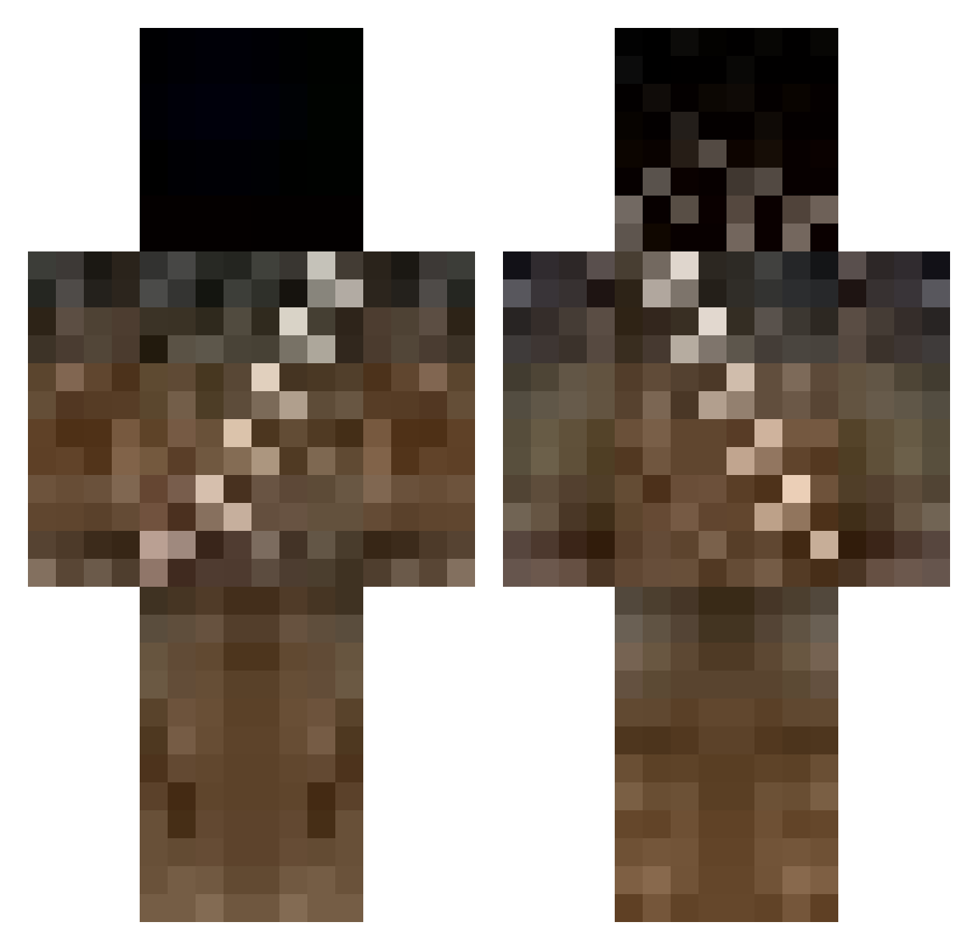 Shewfly Minecraft skin, front and back view