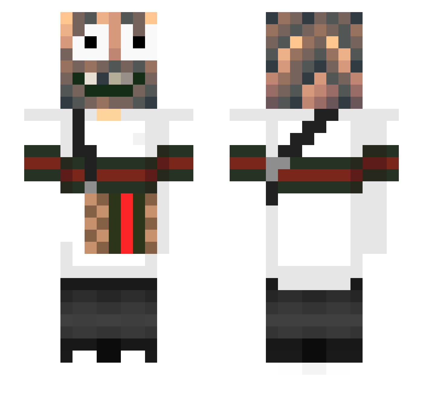 Fichier Minecraft skin, front and back view