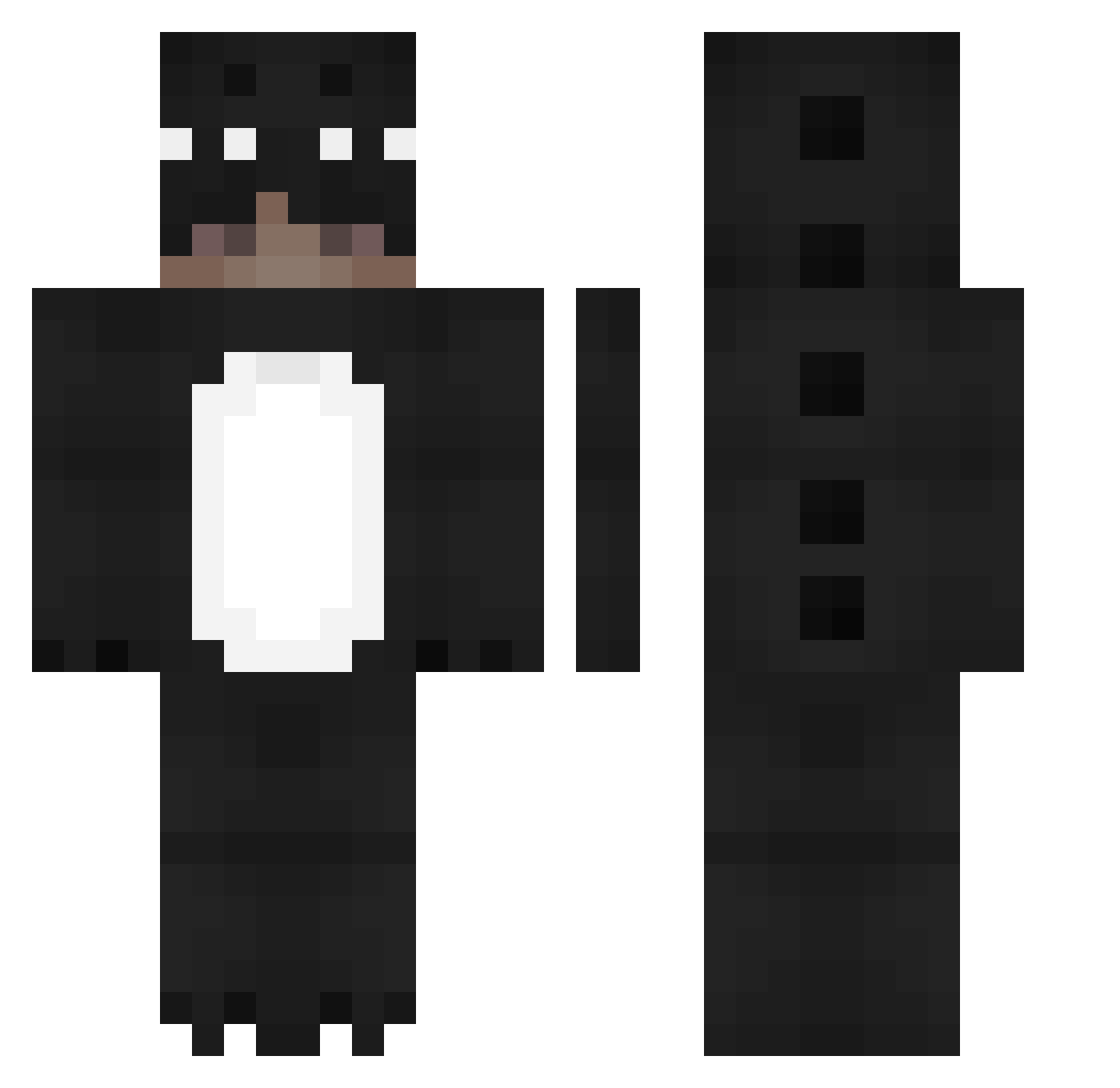 CocoaFR_123 Minecraft skin, front and back view