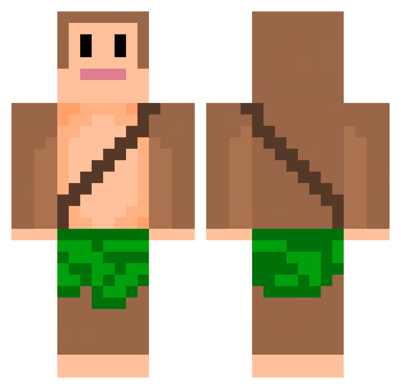 Vichosky_ Minecraft skin, front and back view