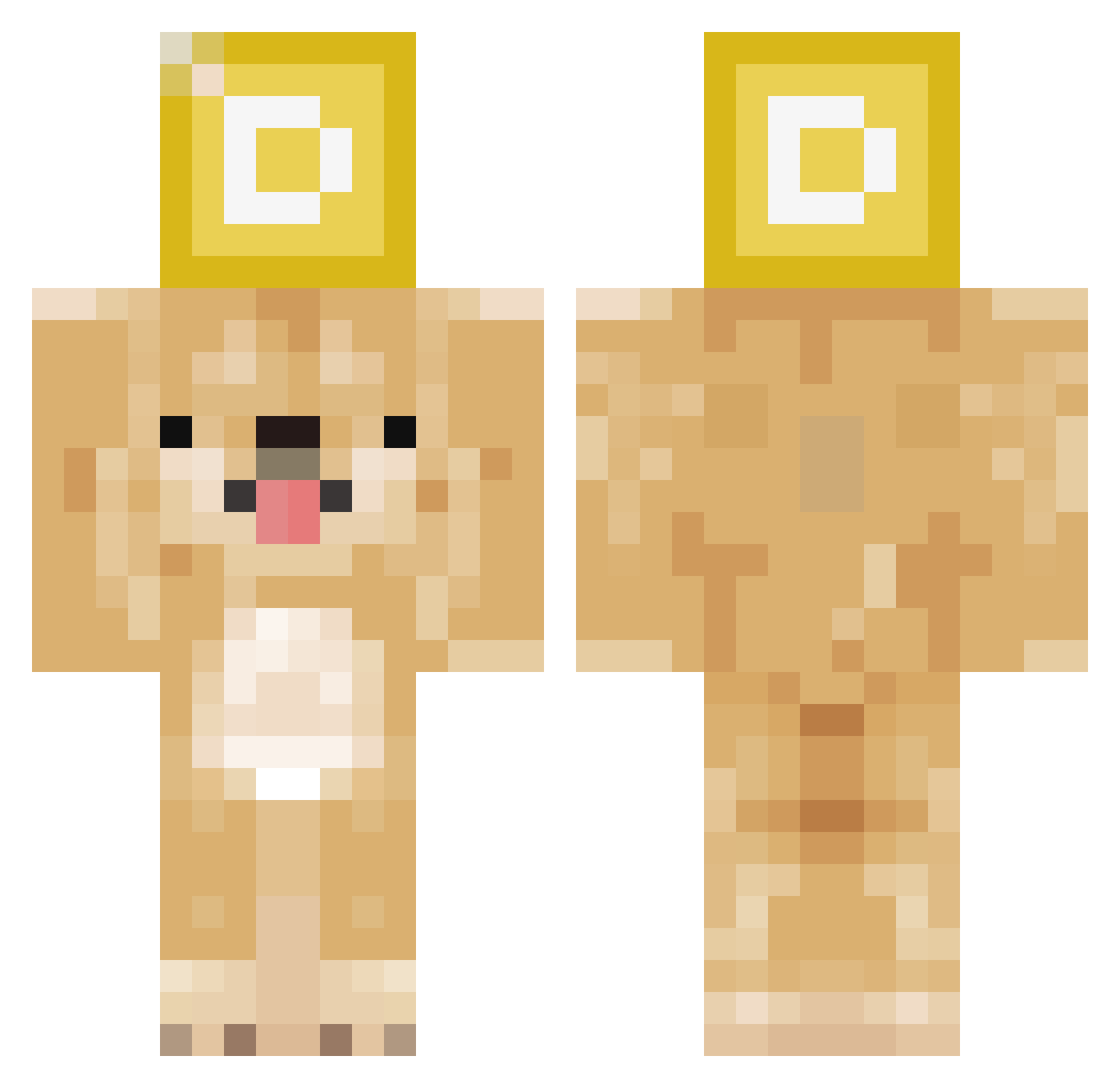 gerald_da_fishy Minecraft skin, front and back view