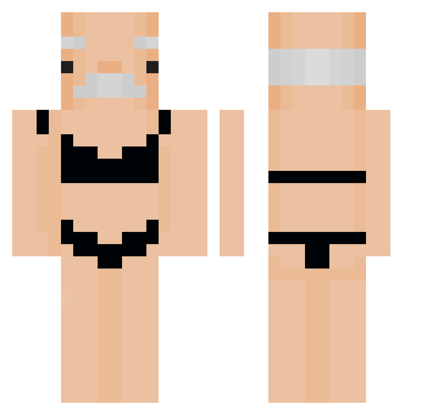 shulks11 Minecraft skin, front and back view