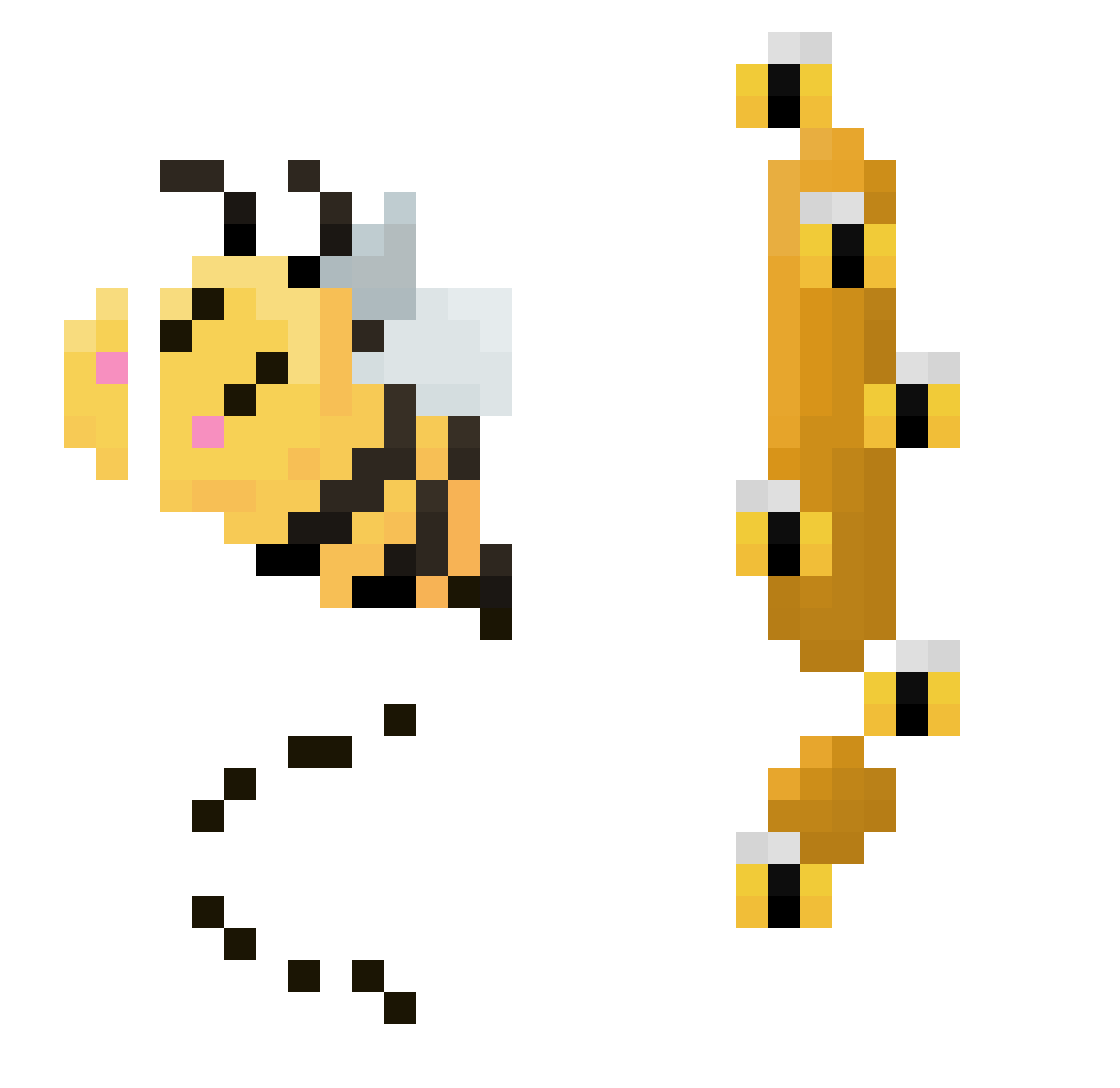 Cookie_Pirate Minecraft skin, front and back view