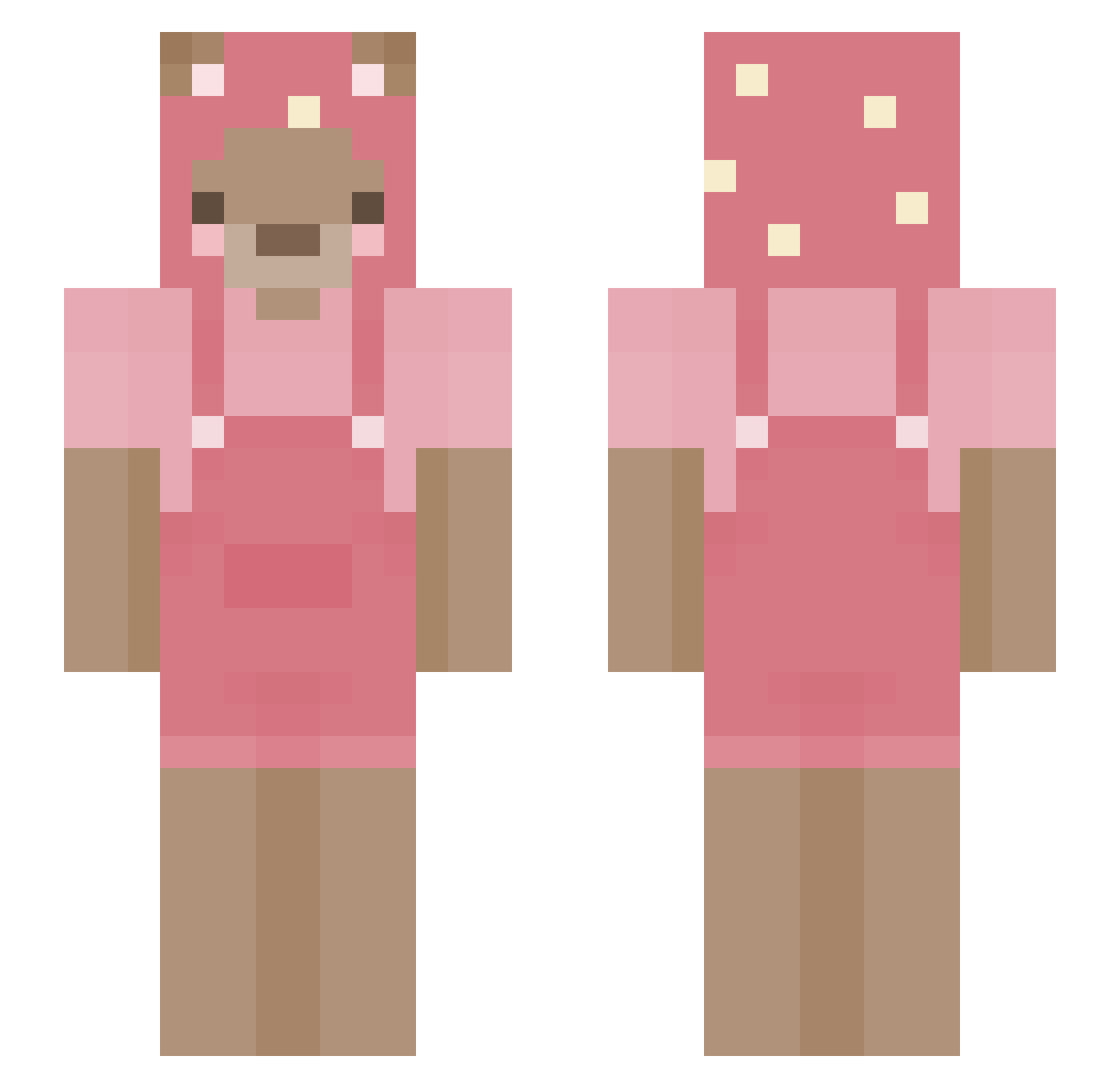 tankopu Minecraft skin, front and back view