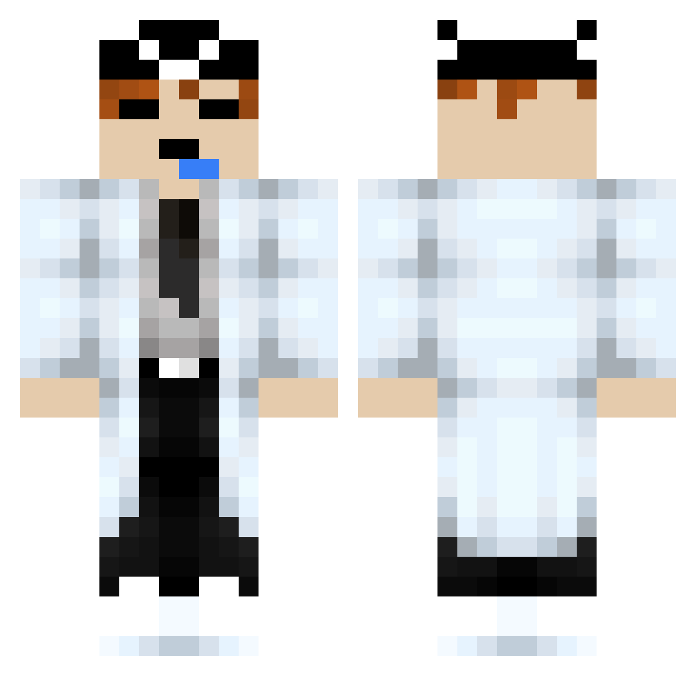 TaxEvadingTurtle Minecraft skin, front and back view